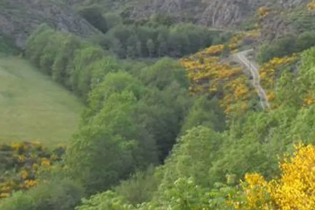 Aire naturelle de l’Aigoual