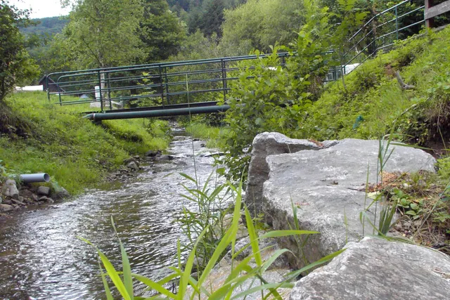 Camping les Bouleaux