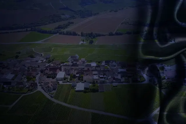 Champagne Le Gouive