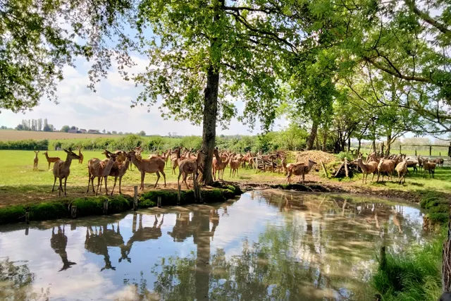La Ferme de l’Etang