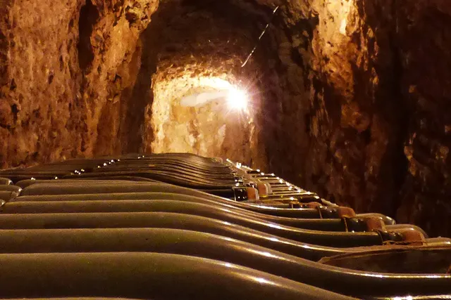 Aire Vignoble Alain Robert