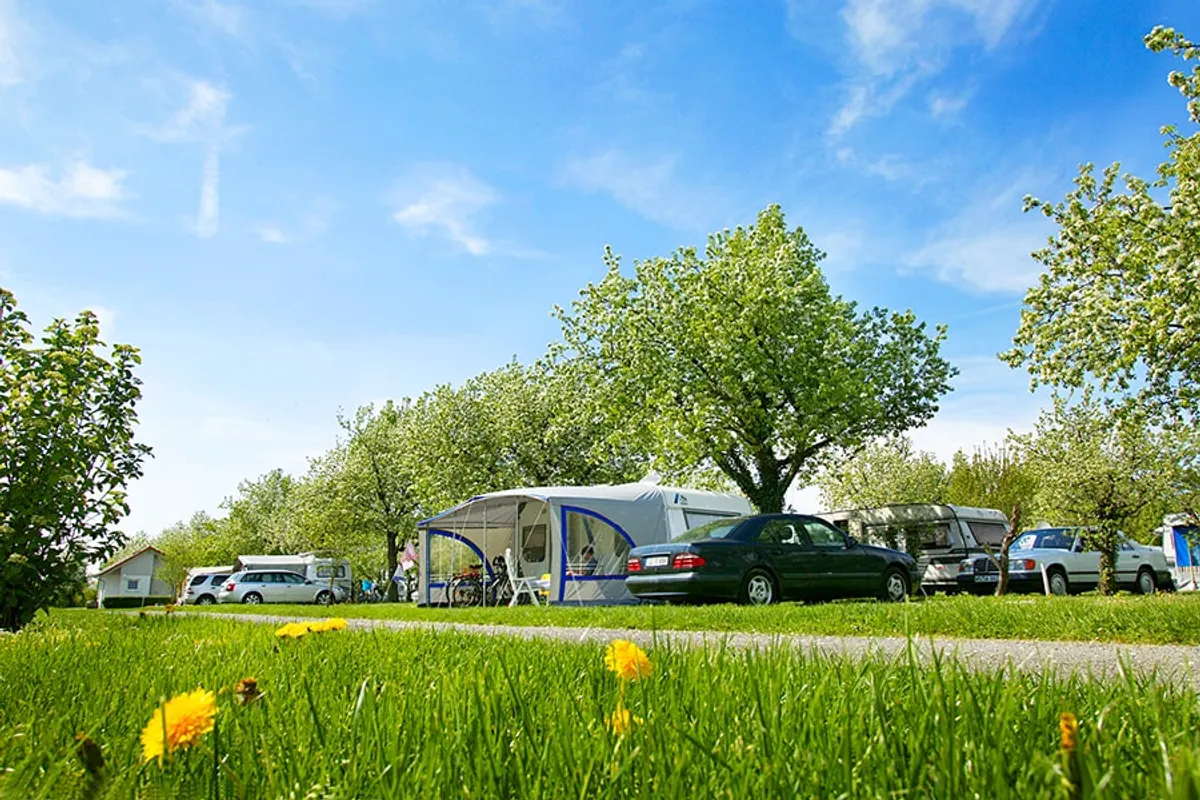Wirthshof Resort