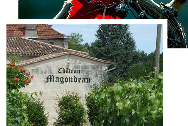 Chateau Magondeau