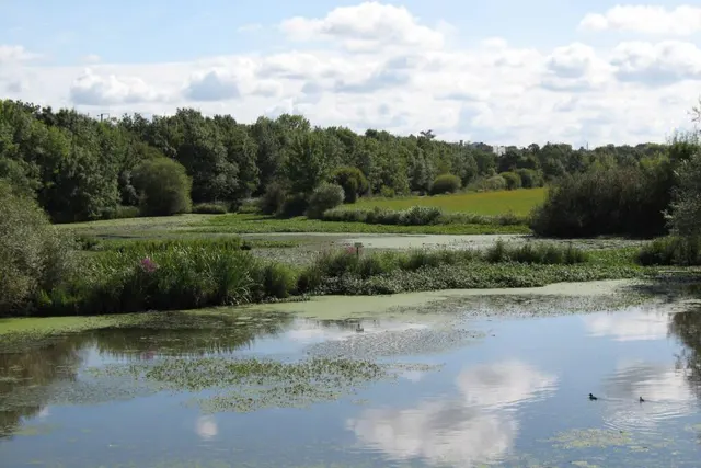 Aire de camping-car de Champtoce sur Loire