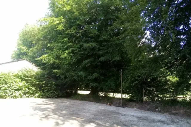 Aire de la Ferme du Cèdre