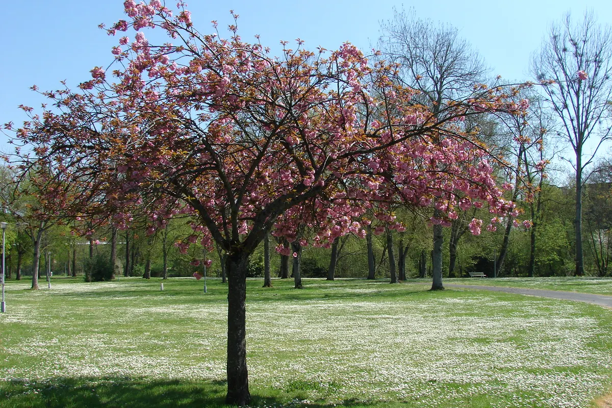 Camping Au Cœur de Vendôme