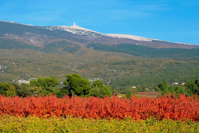 Camping Provence Ventoux à Sault