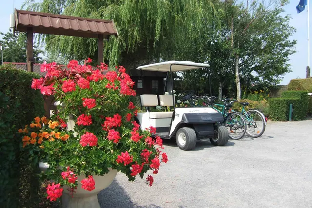Camping Les Palmiers