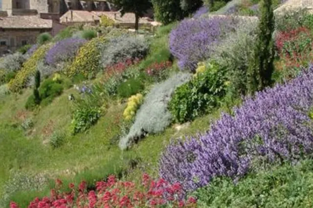Aire de service et de repos à Laudun l’Ardoise (Arènes)