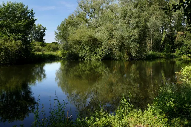 Parc des Cygnes