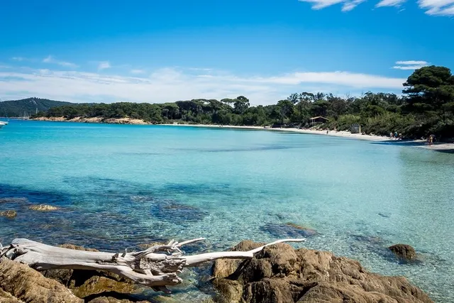 Les Pins Maritimes