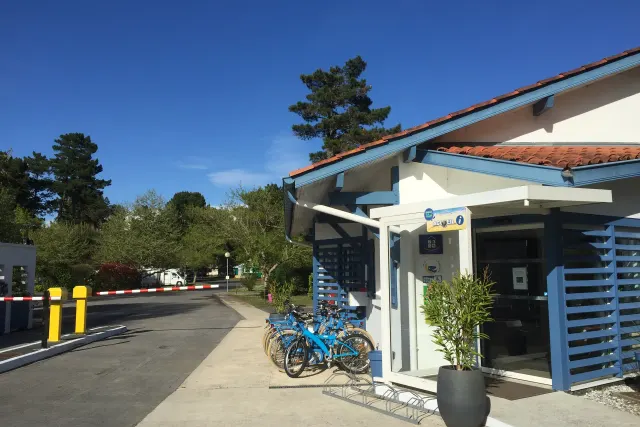 Les Pins Bleus