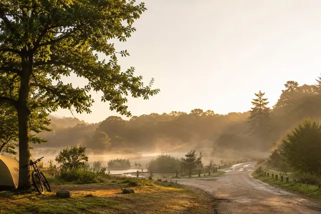 Aire de camping-cars Jons - Chemin de Mûre
