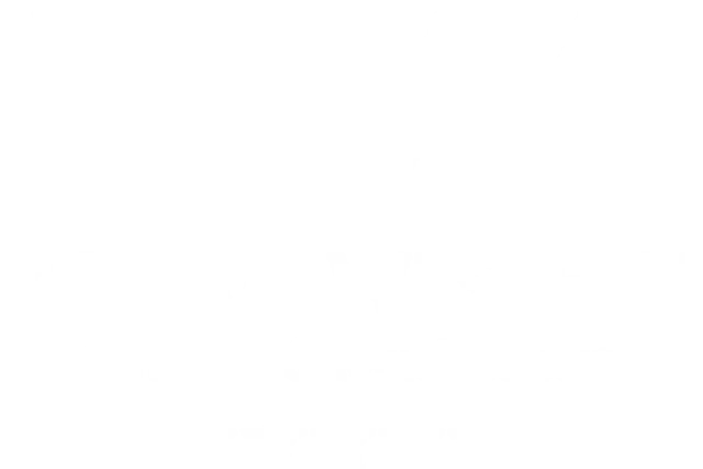 Le Village Western