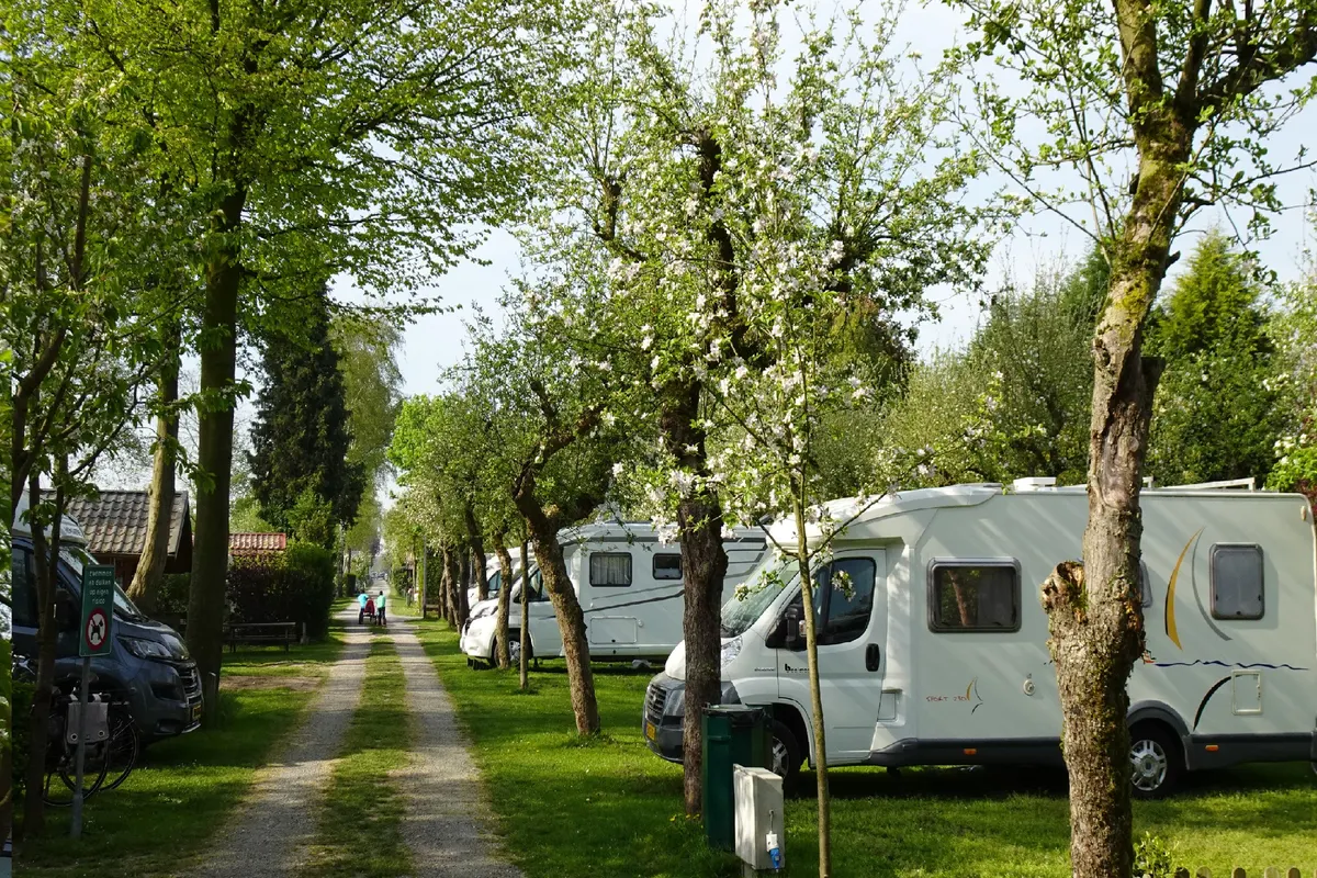 Camping De Linie