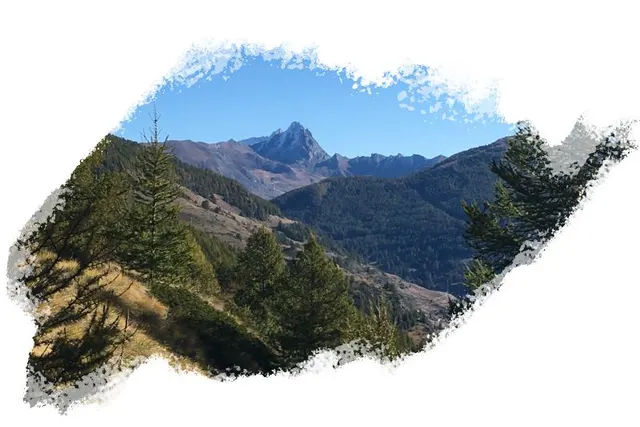 Le Gouret