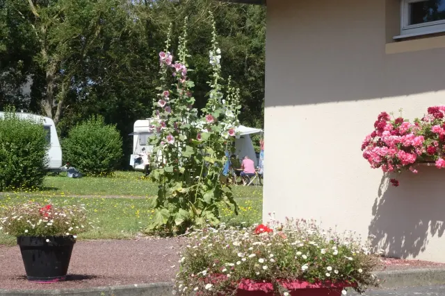 Camping G.C.U. de Grandcamp-Maisy