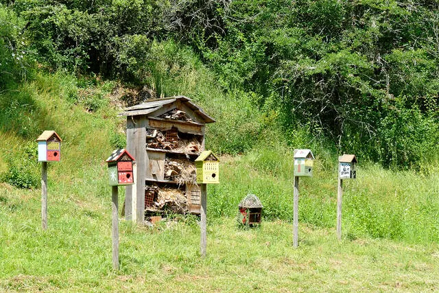 Aire Naturelle de Camping Montplaisir