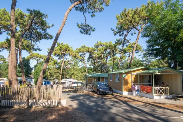 Camping Emplois Saisonniers