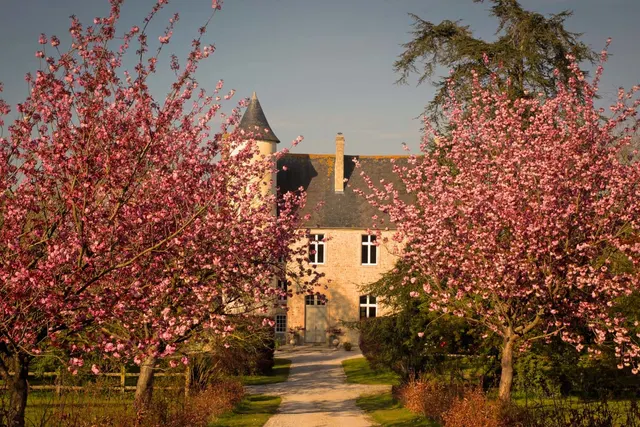 Le Château de Monfréville