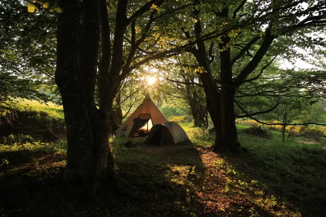 Bivouac de Pré du bois