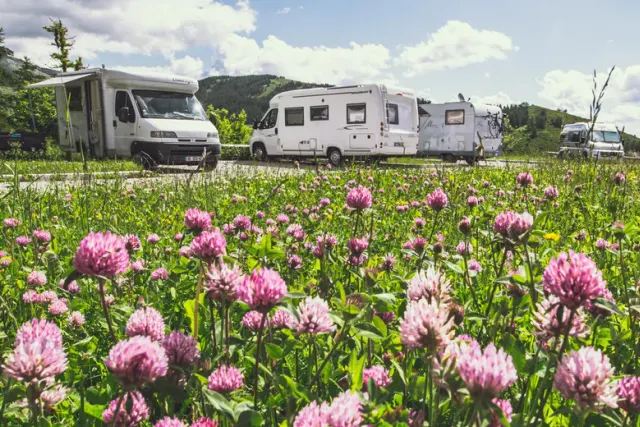 Aire camping-cars le Lagopède Valberg