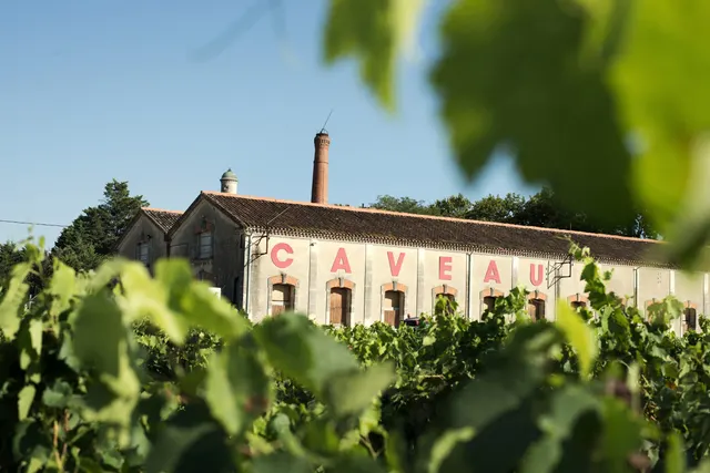 Domaine de Montcalm