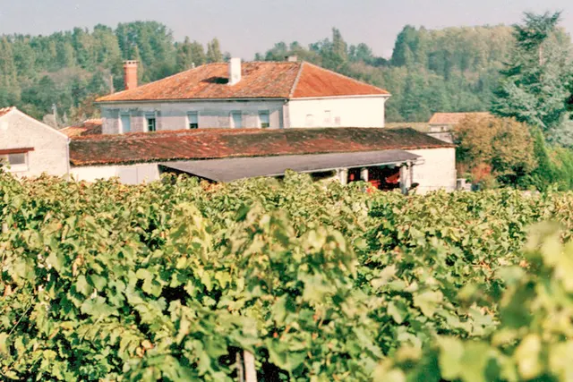 Vignoble des Bergeronnettes