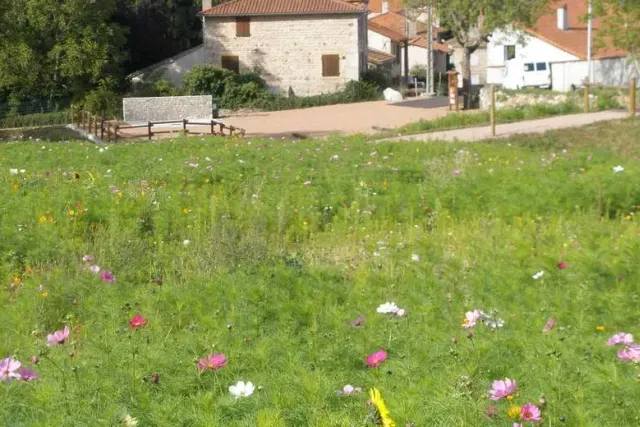 Aire Camping-cars Saint-Haon-le-Châtel