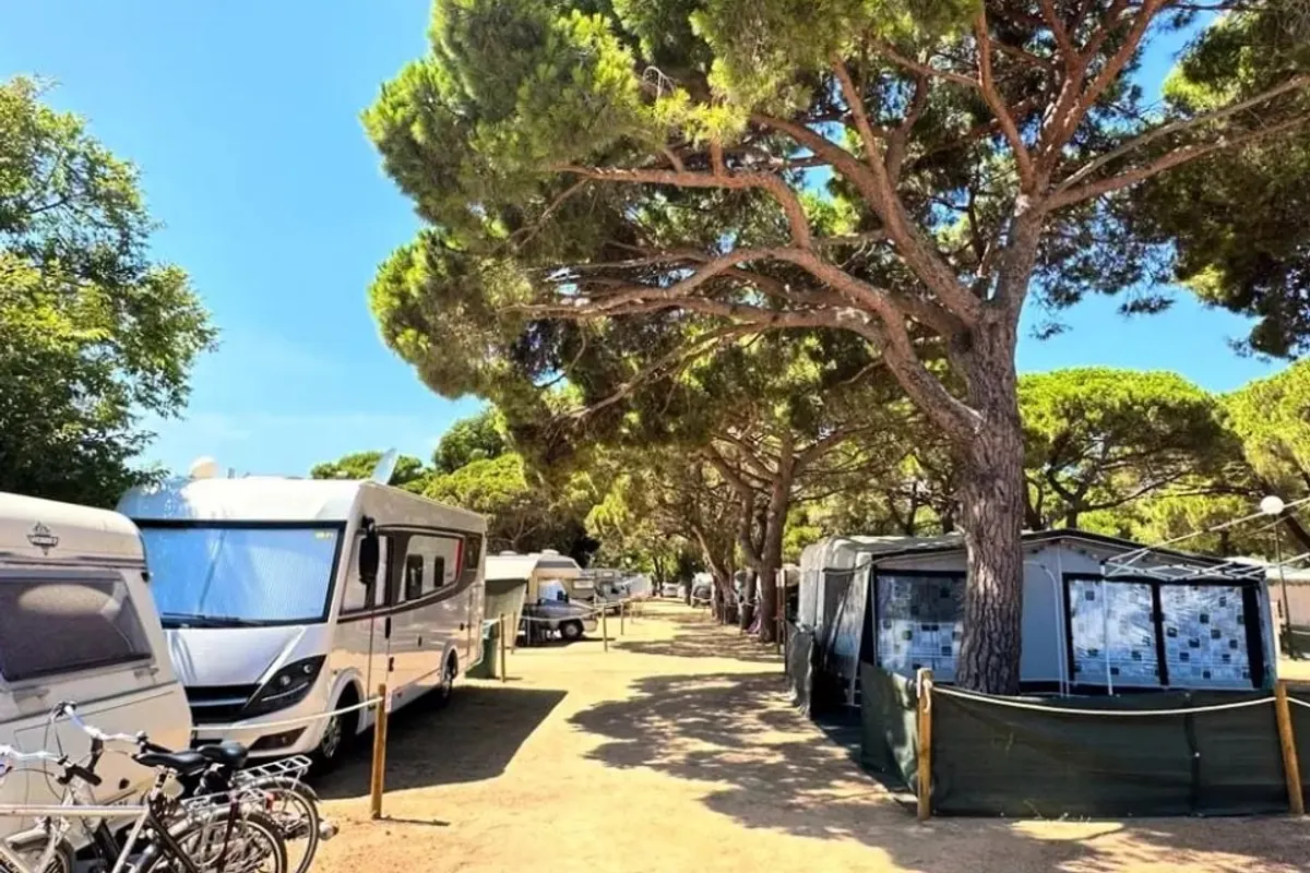 Camping Vall d'Or