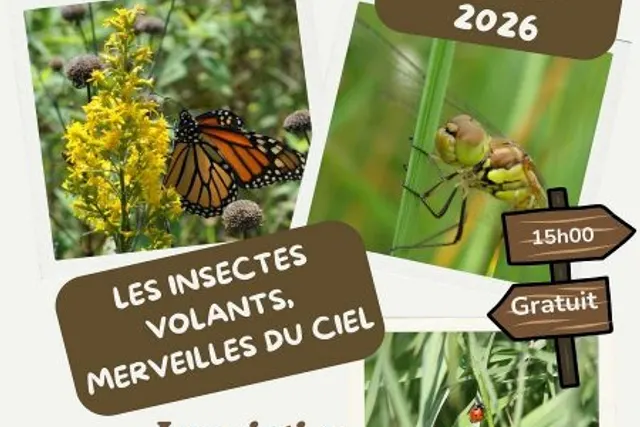 Aire Plan d'eau du Prieuré