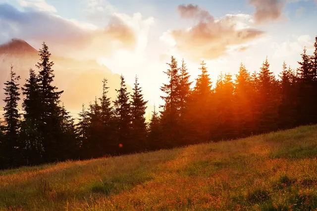 Heilsbach