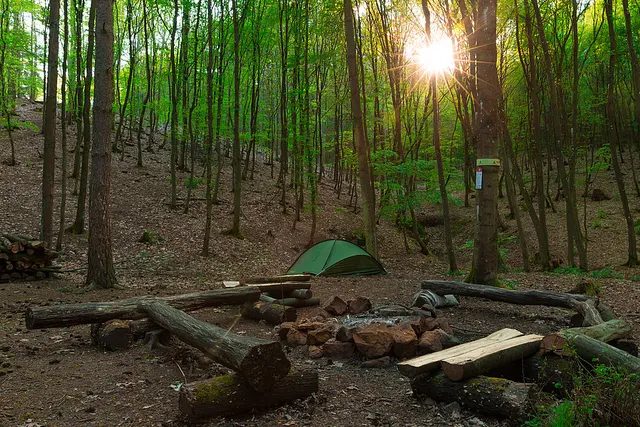 Trekking Pfalz: Ramsen