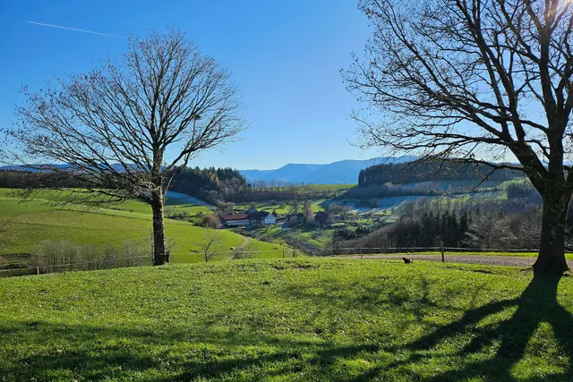 Natur pur - beim Kölble Hof - Eiche