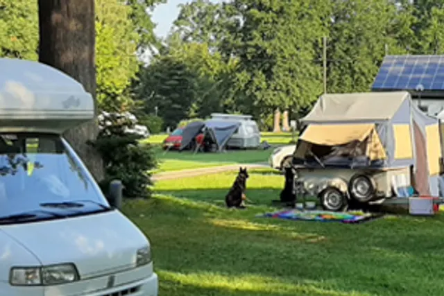 Camping im Eichenwald