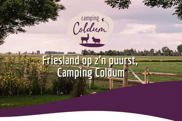 Camping Venema