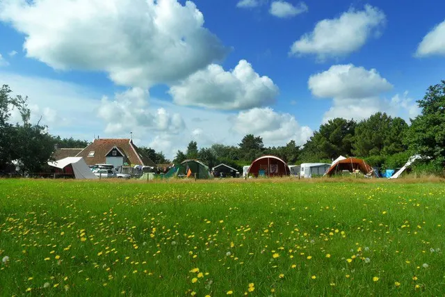 Dennedune