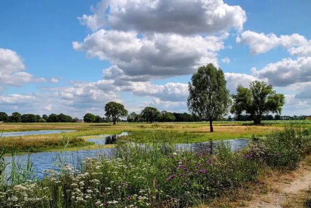 Minicamping Erve Henderiks Hoeve