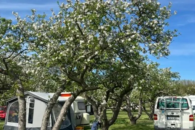 Camping en B&B In het Fruit