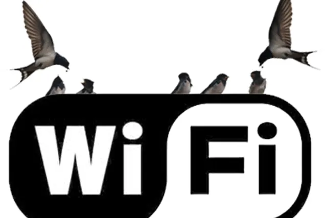 De Boere Zwaluw