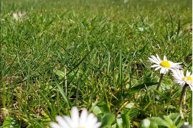 De Kleine Stroet