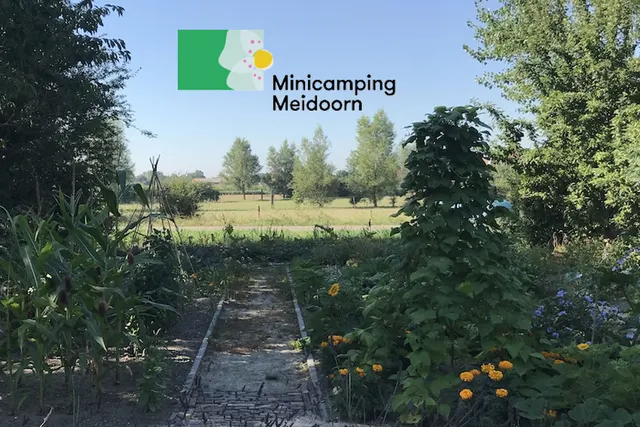 Minicamping Meidoorn