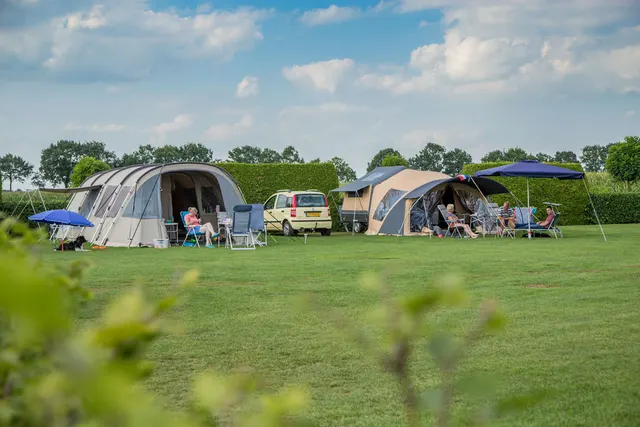 Het Varsenerveld