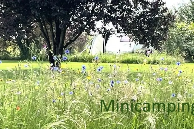 Minicamping Zorg-en-Vrij