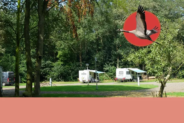 Camperpark De Kraanvogel