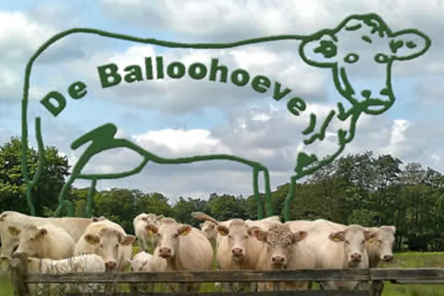 Camping de Balloohoeve
