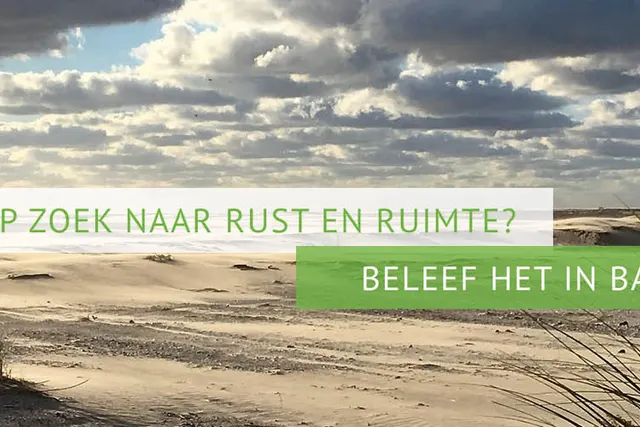 het Zonnige veld
