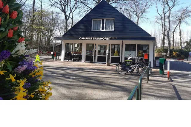 Duinhorst