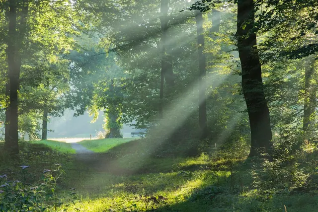 Natuurcamping De Dellen