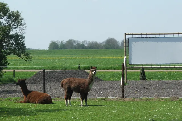 Minicamping De Hendrikahoeve